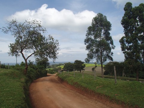 Developing higher education in Kenya